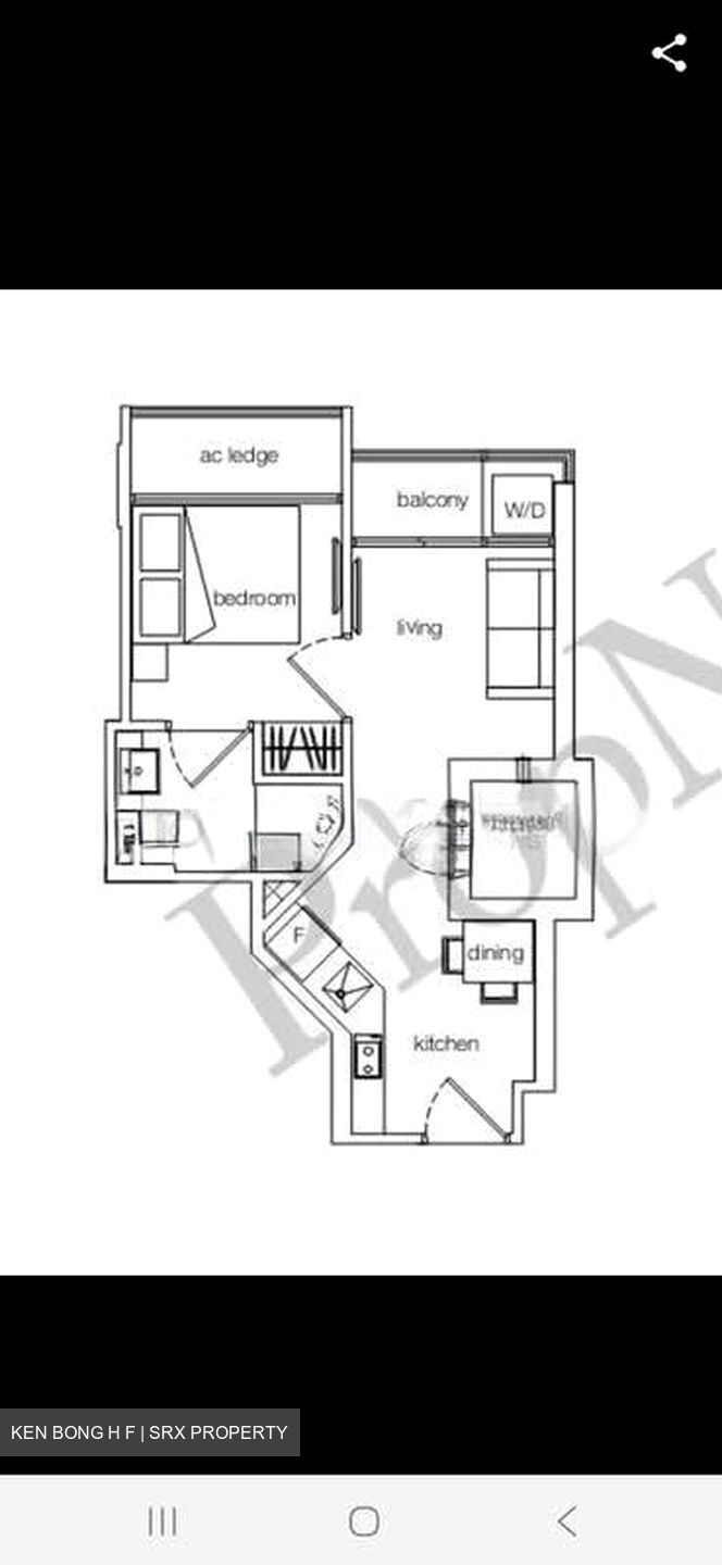 Haig 162 (D15), Apartment #569787391
